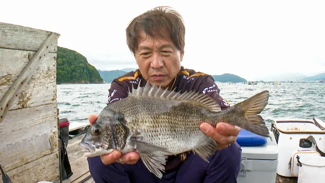 チヌ道一直線 116 始まりの地・若狭湾のかかり釣り！いざ、初秋の仏谷で数釣りに勤しむ