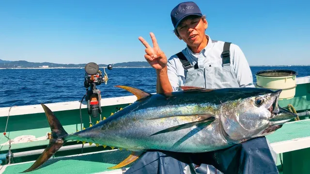 なるほど！沖釣りマスター 22 相模湾のコマセキハダ オダモンGetでなるほど！