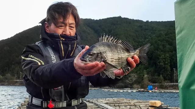 チヌ道一直線 118 勝負は八時間後！いざ、解禁直後の白石湖に大型チヌを求める