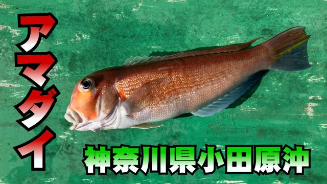 なるほど！沖釣りマスター