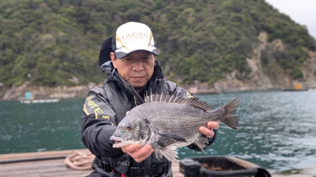チヌ道一直線
