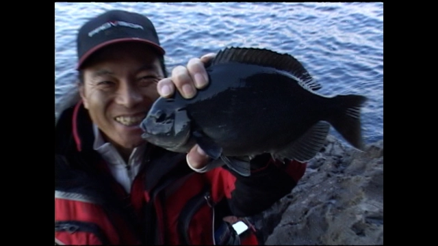 ザ・激磯 しぶしぶの喰い渋りメジナをやっつけろ！