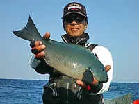 磯釣りギャラリー 大分県鶴見で魅せる 片伯部光広のアプローチ