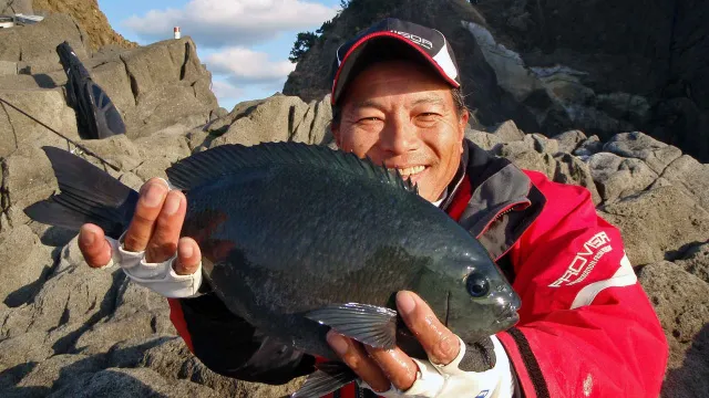 ザ・激磯 南伊豆　入間で喰い渋るメジナを大攻略