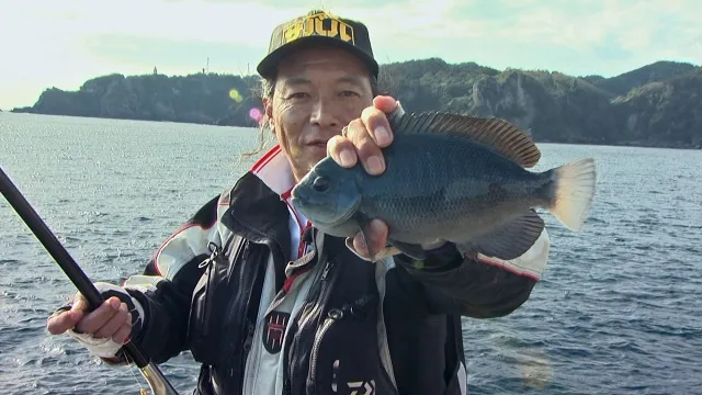 シーズン初期はこう攻めろ　冬の初めのメジナ釣り