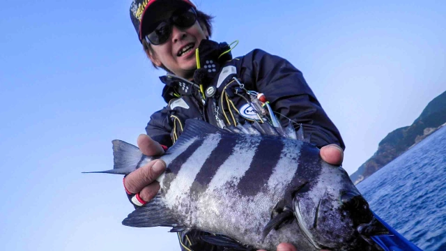 楽釣楽磯宣言 7　秋磯の魅力満載　爆釣楽磯宣言！