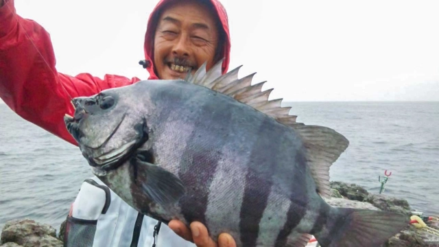 磯釣りギャラリー ～三重県梅雨の石鯛釣り～