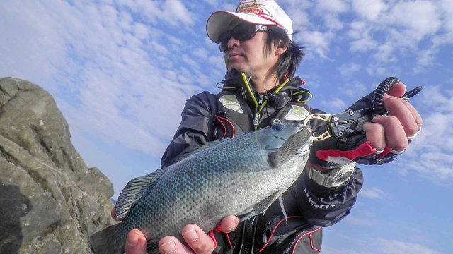 楽釣楽磯宣言 13　徳島県阿部エリア　強風強敵秋の収穫大作戦！