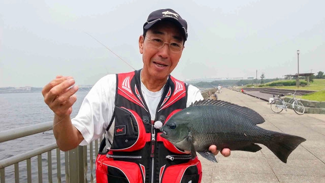 Oh！エド釣り日記 東扇島西公園