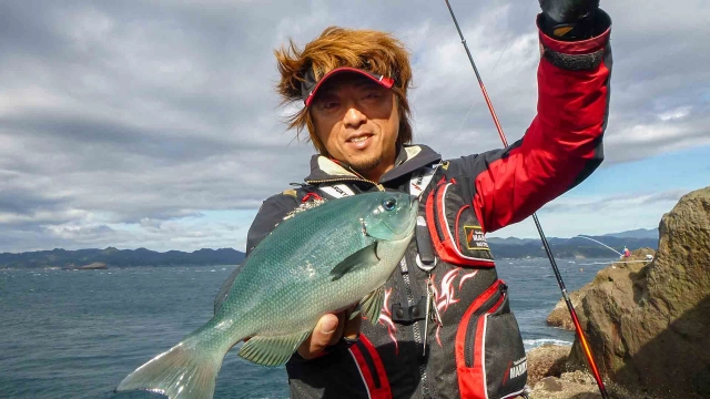 磯を駆ける 第六十九章 静岡県伊豆の旅
