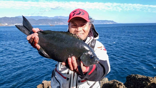 磯釣りギャラリー 冬の伊豆半島 気難しいメジナの対処法