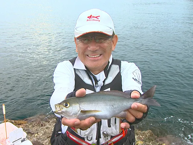 本流のライセンス 夏の島根県 出雲日御碕釣行