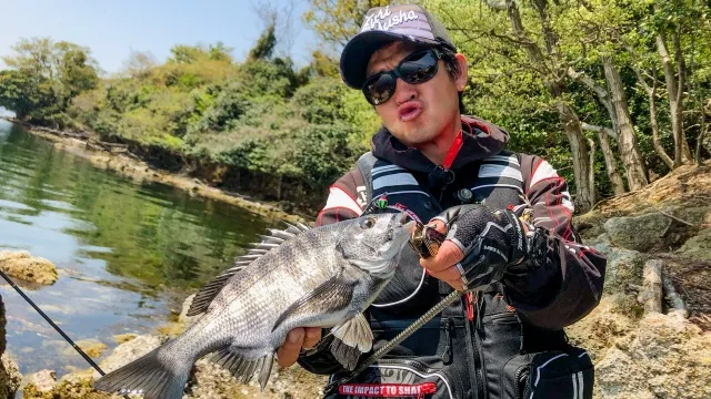 楽釣楽磯宣言 65 京都府久美浜湾 初場所で乗っ込みチヌを攻略宣言！