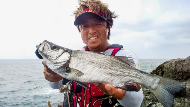 磯を駆ける 第九十六章 鳥取 夏の旅