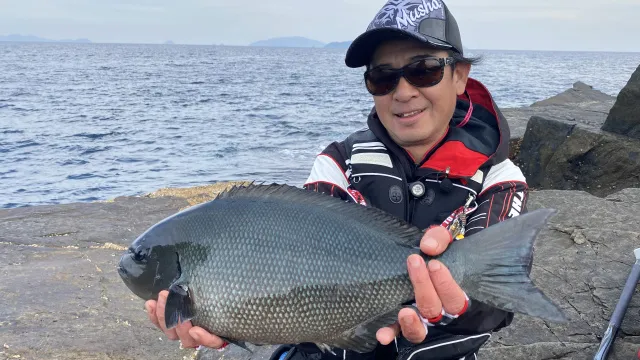 楽釣楽磯宣言 71 愛媛県武者泊エリア グレ爆釣楽磯宣言！