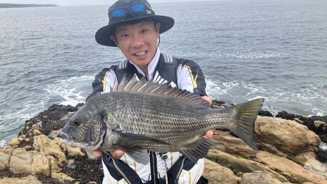 25 宮城県田代島のクロダイ＆マダイ