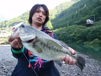 BASSってオモシロイ！ 『トップで釣ろう』