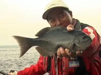 魚の宝庫・佐渡島でお手軽フィッシング 
