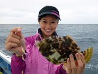 3　カワハギ釣りに行け！