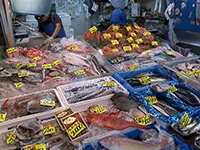 市場大調査隊 ～釣魚の価値を徹底調査！～ 