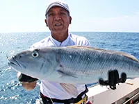 奄美大島で泳がせ釣り 遠征大物釣りへ行こう！ 奄美大島で泳がせ釣り