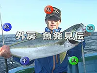 外房魚発見伝 