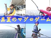 チャンス到来！真夏のマグロゲーム 