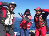 「Rock Fishing～トクシマフカセロード～」 を訪問 