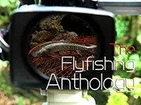 The FlyFishing Anthology 