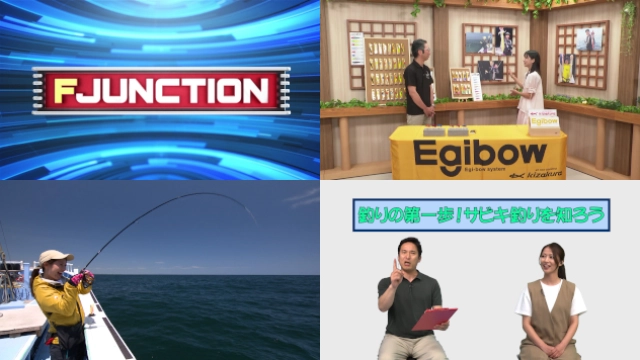 F JUNCTION