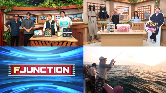 F JUNCTION