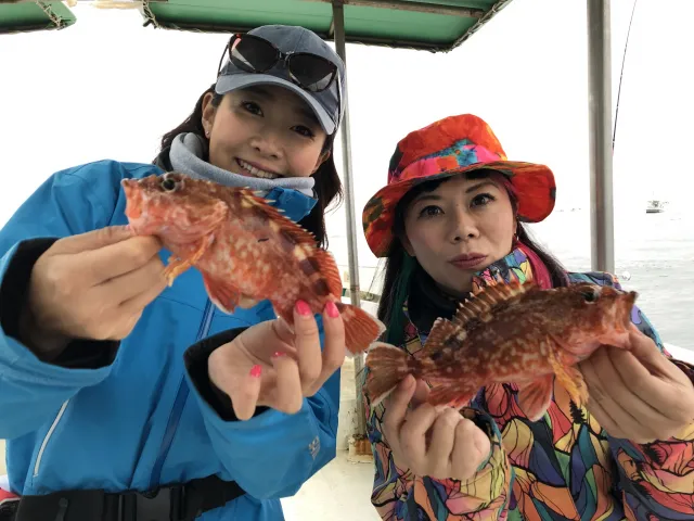 釣りたガール！ 30 早起きはやっぱりおトク！色々釣れちゃう和歌山県加太の早朝五目