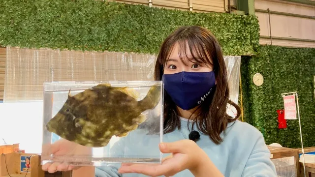 釣って関東！ 6 釣りのアミューズメントパーク 湘南釣堀で釣りしてみよう