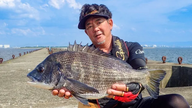 G WORLD 真夏のヘチ釣り 大阪湾にセンチオーバーの巨チヌを