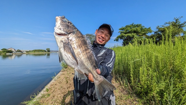 G WORLD 36 宍道湖のスサノオチヌ 50センチオーバーの数釣りに挑む！