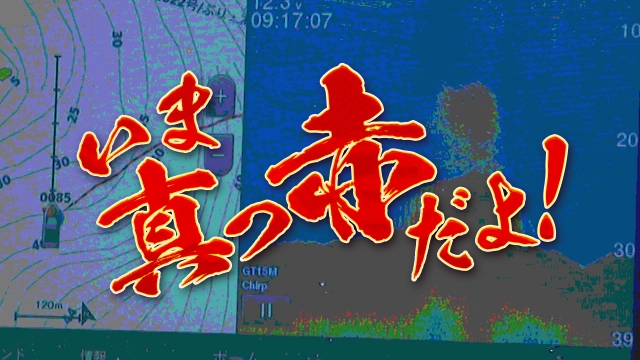 いま真っ赤だよ！ 1 ～心の魚探を真っ赤に染める～