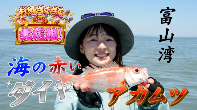 お魚ざくざく北信越！