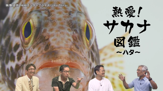 熱愛！サカナ図鑑