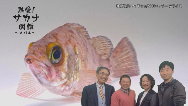 熱愛！サカナ図鑑