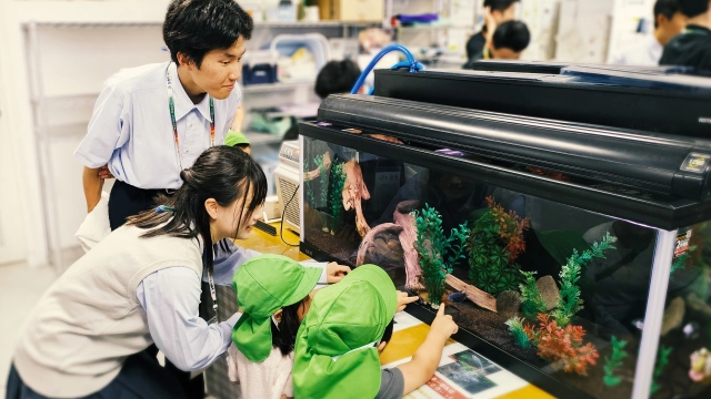 放課後をサボるな！ 23 徳島県に水族館を！ 徳島科技高マリンリサーチクラブ、未来へつなぐ挑戦