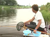 ヘラブナギャラリー 伊藤さとし　埼玉県びん沼川