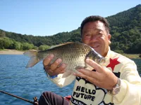 深宙 25 秋の富士山麓･山梨県西湖