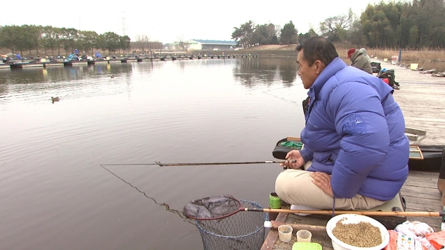 ヘラブナギャラリー