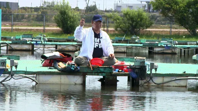 ヘラブナギャラリー 橋本幸一が魅せる　ホリデーの釣り