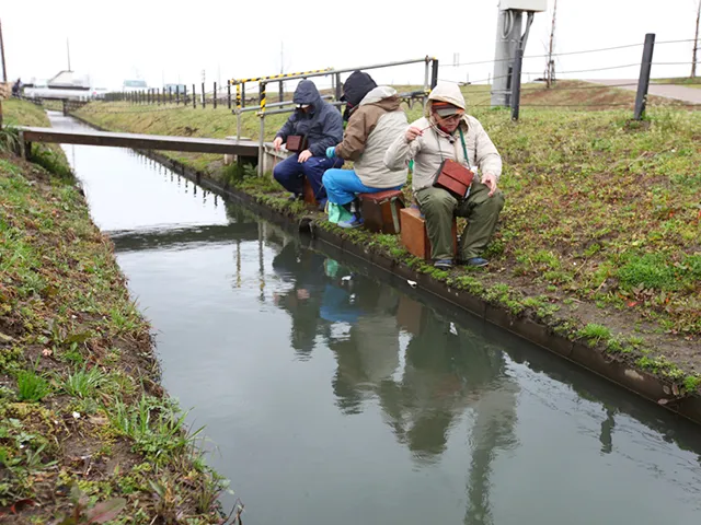 ミクロ釣行 手賀沼周辺に春を探す