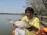 ヘラブナ漫遊記 其の五十一 房総の野釣り