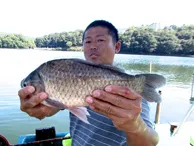 ヘラブナギャラリー 夏の終わりに野釣りを満喫