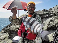 旬の釣り 和歌山県初夏の石鯛釣り