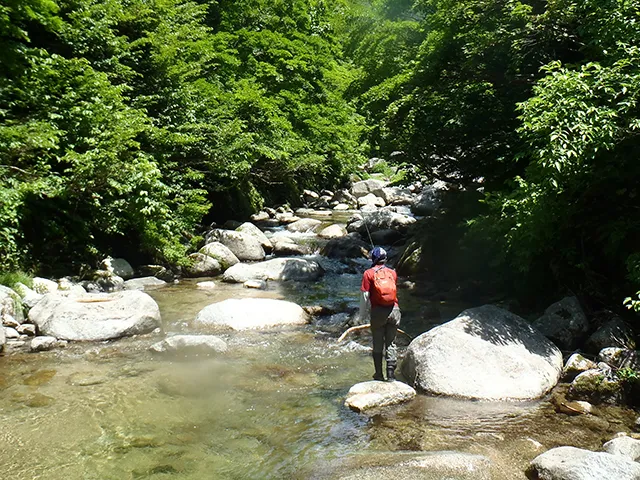 渓流ギャラリー 新潟県七滝沢の源流