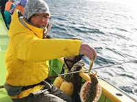 冬の東京湾スミイカ釣り